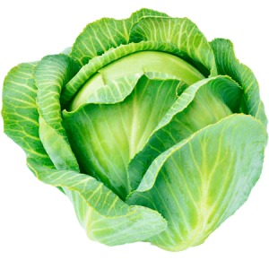 WHITE CABBAGE  KAGERA F1