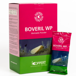BIOINSECTICIDES BOVERIL 1KG